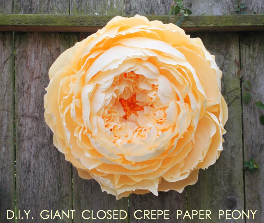 DIY Giant Crepe Paper Roses